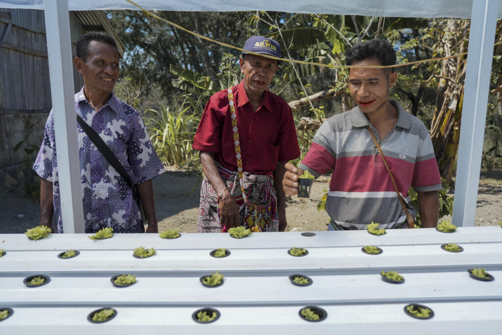 Three men stand outdoors beside a simple hydroponic growing system, examining small leafy plants arranged in rows, with trees and a rural setting in the background.