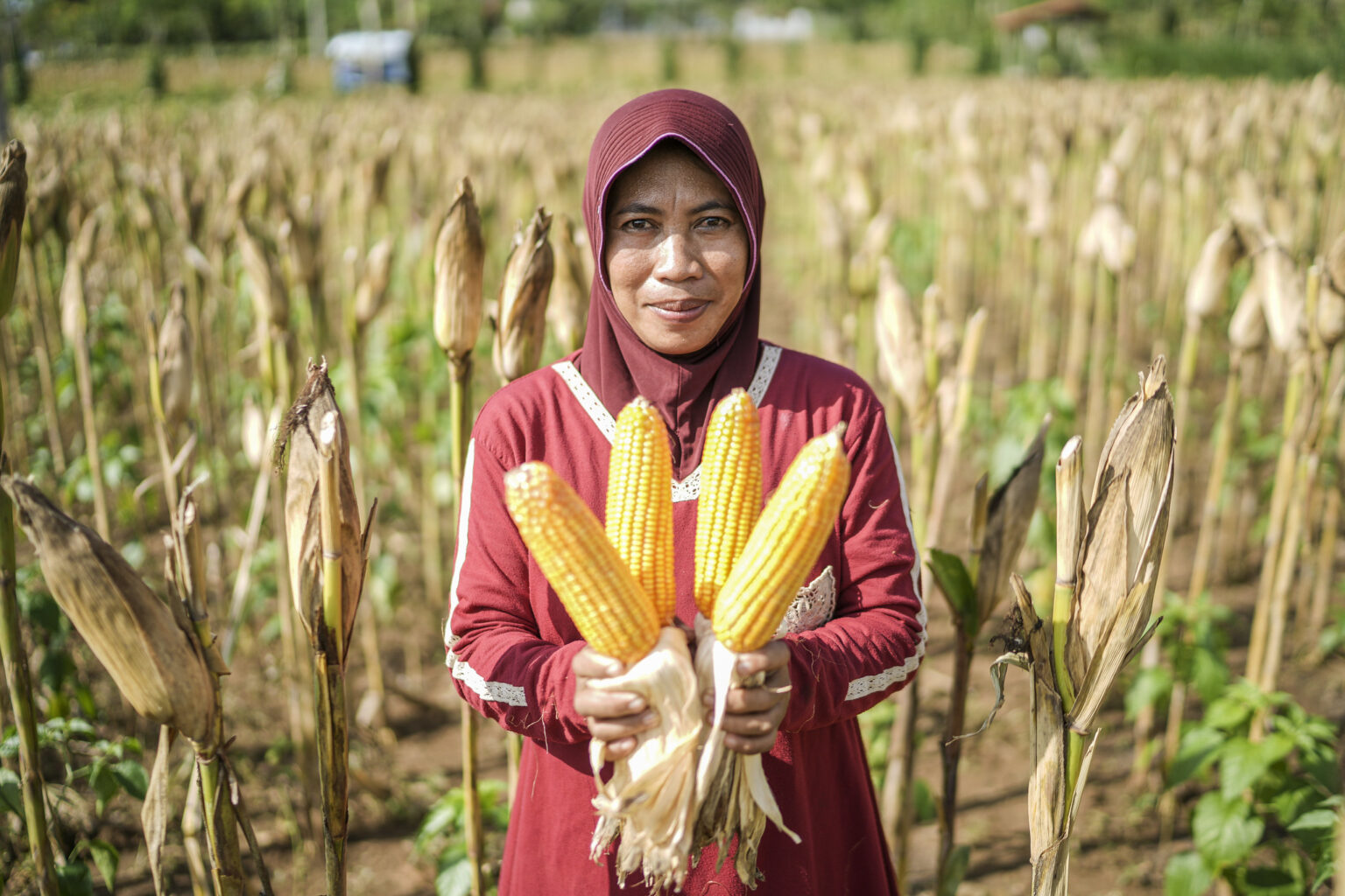 Unleashing Opportunities in Indonesia’s Green Economy