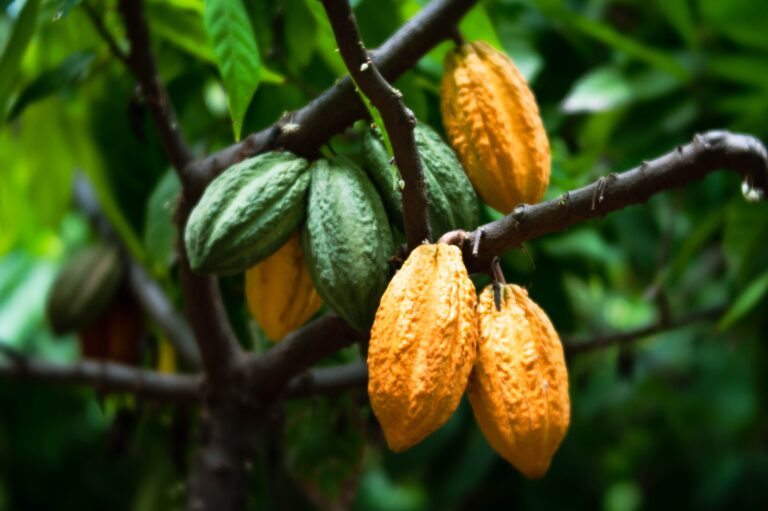 Indonesia Impact Alliance and KINETIK host event at Impact Investment Summit