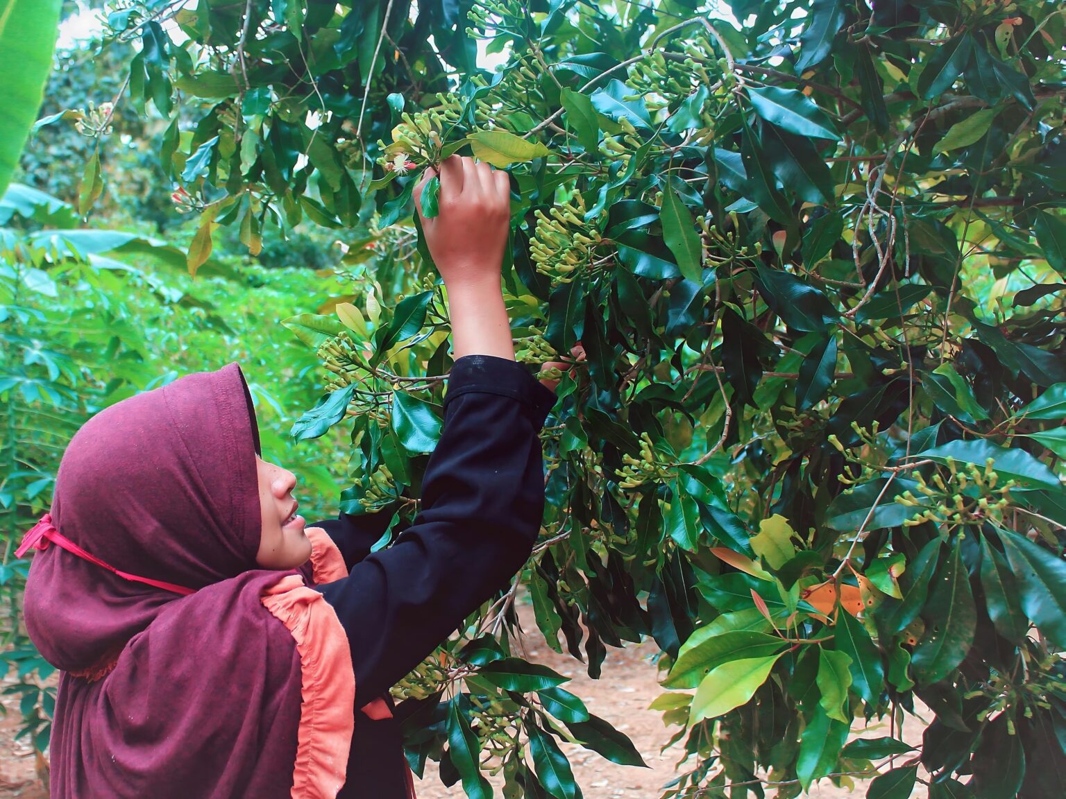 Mengapa keuangan inklusif sangat penting untuk krisis iklim?