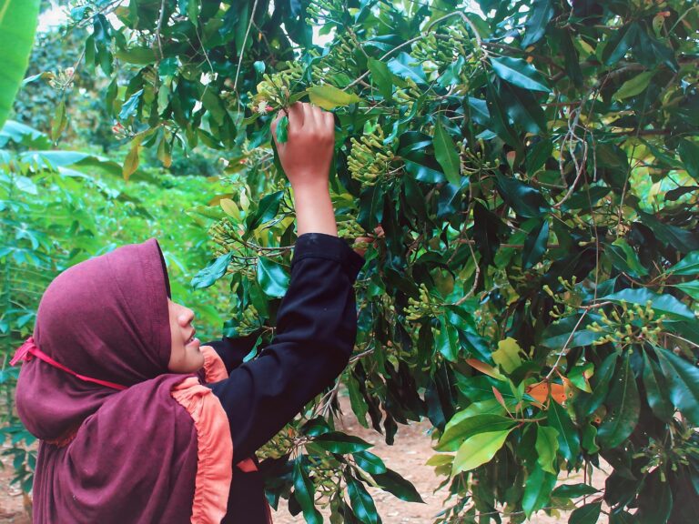 Why inclusive finance is essential for the climate crisis